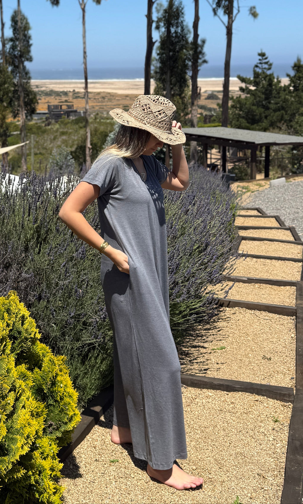 Enterito Algodón Brasileño